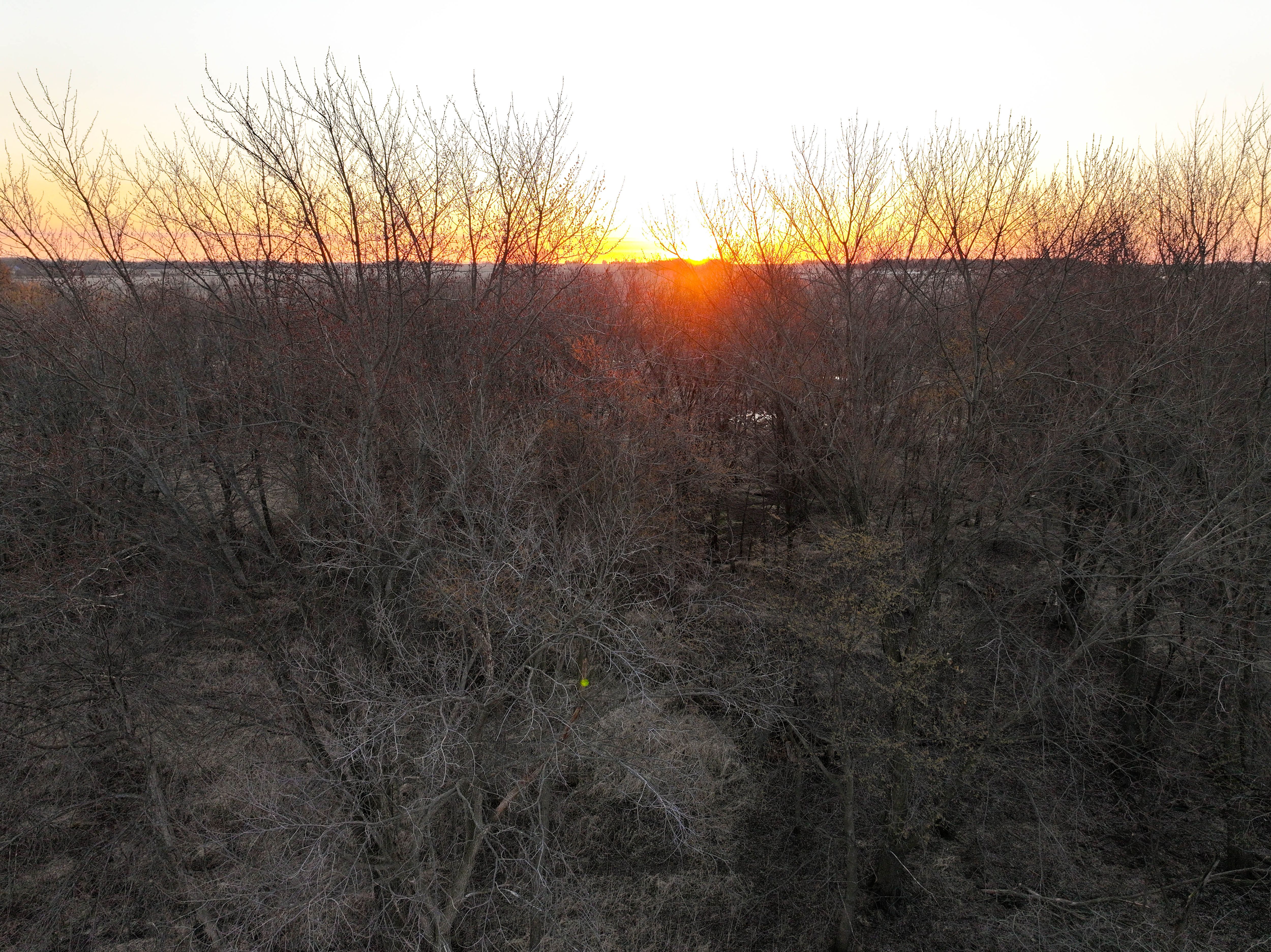 Listing Photo: 14_Charles City CRP Farm